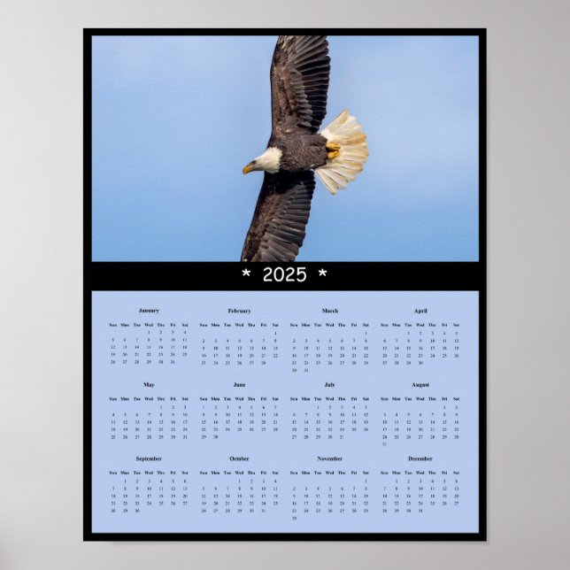 Póster poster del Calendario de Pared de Águila Calva 202 (Frente)