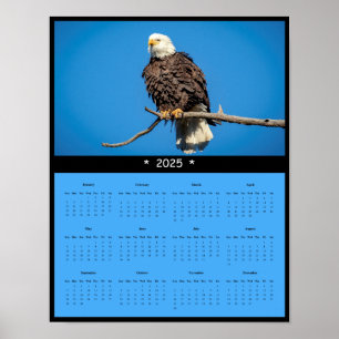 Póster poster del Calendario de Pared de Águila Calva 202