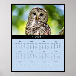 Póster poster del calendario de pared de búho de 2025