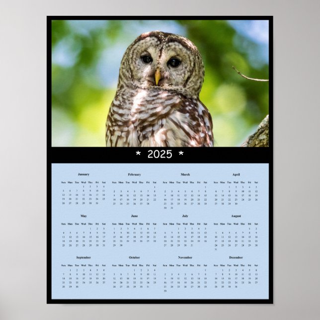 Póster poster del calendario de pared de búho de 2025 (Frente)
