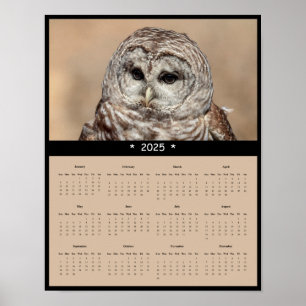 Póster poster del calendario de pared de búho de 2025