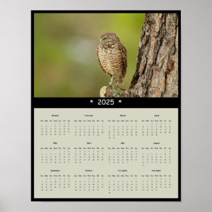 Póster poster del calendario de pared de búho de remo de 
