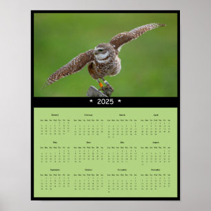 Póster poster del calendario de pared de búho de remo de