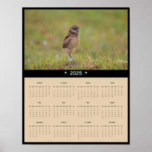Póster poster del calendario de pared de búho de remo de 