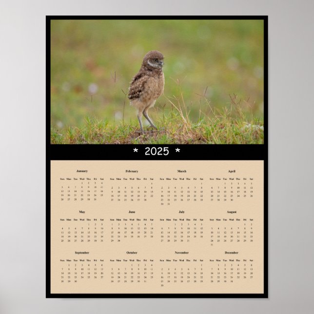 Póster poster del calendario de pared de búho de remo de  (Frente)
