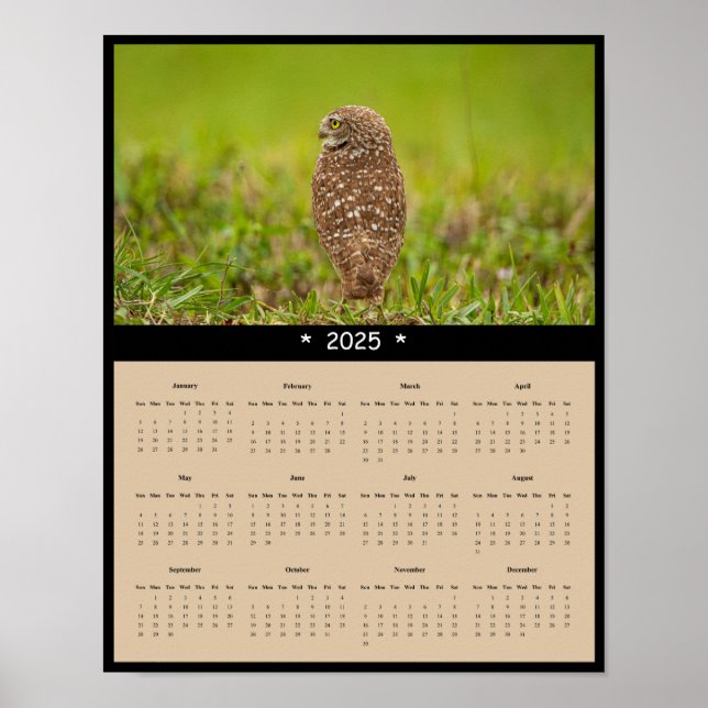 Póster poster del calendario de pared de búho de remo de  (Frente)