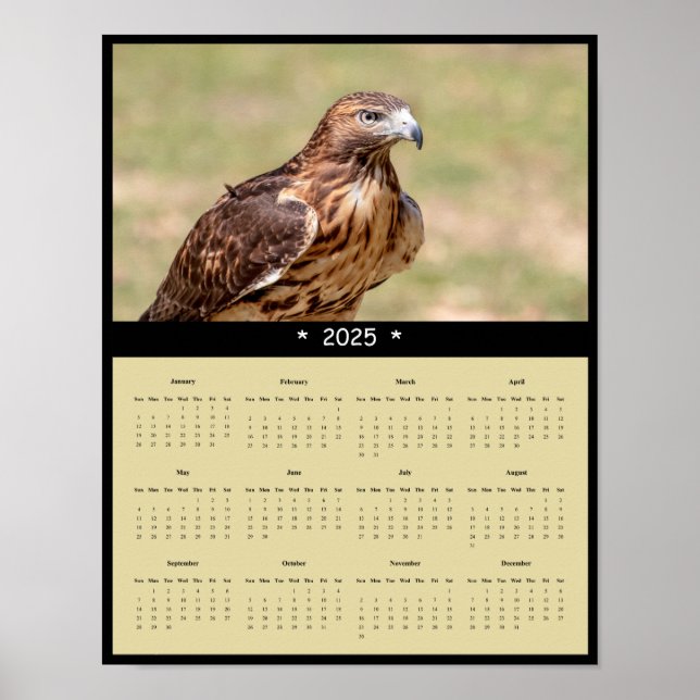 Póster poster del calendario de pared de halcón rojo 2025 (Frente)