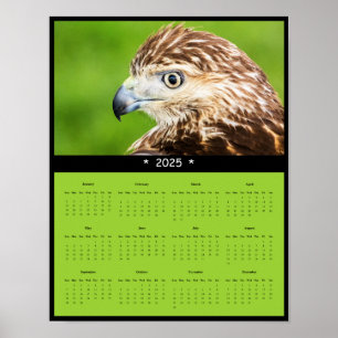 Póster poster del calendario de pared de halcón rojo 2025