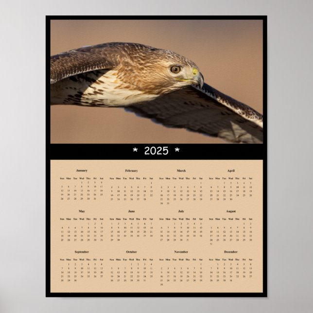 Póster poster del calendario de pared de halcón rojo de 2 (Frente)