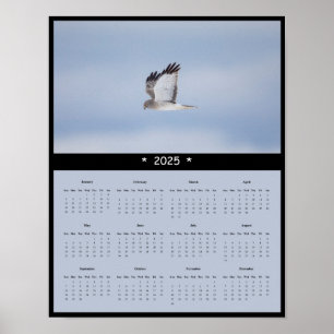 Póster poster del calendario de pared de Hawk del Harrier