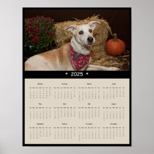 Póster poster del Calendario de Pared de Perro de Raza Mi