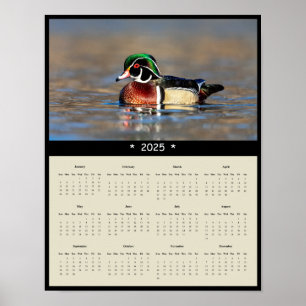 Póster poster del calendario de pared de tracción de pato