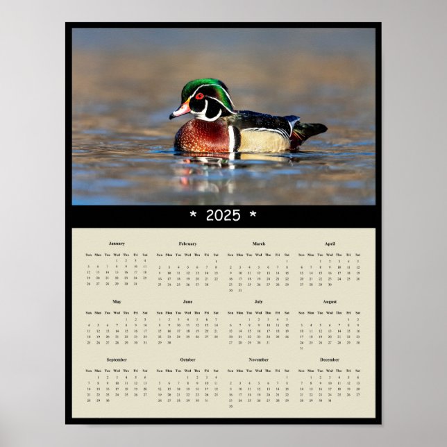 Póster poster del calendario de pared de tracción de pato (Frente)