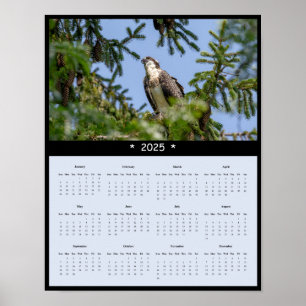 Póster poster del Calendario Osprey Wall de 2025