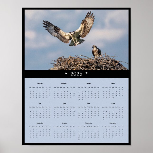 Póster poster del Calendario Osprey Wall de 2025 (Frente)