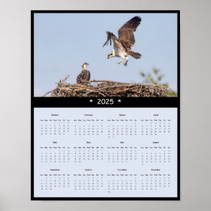 Póster poster del Calendario Osprey Wall de 2025