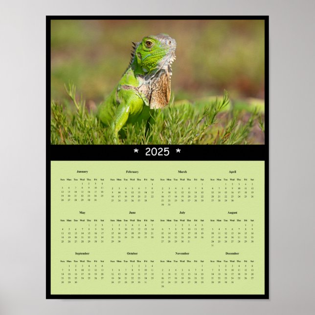 Póster poster del Calendario Pared de Iguana 2025 (Frente)