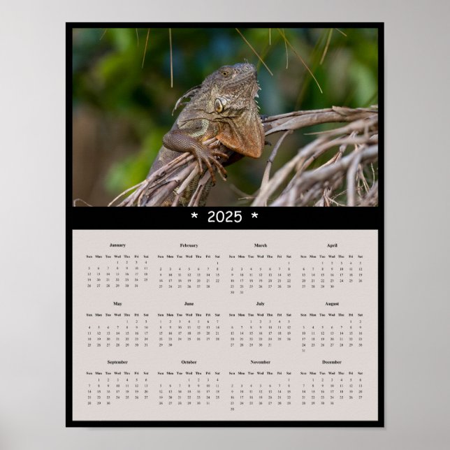 Póster poster del Calendario Pared de Iguana 2025 (Frente)