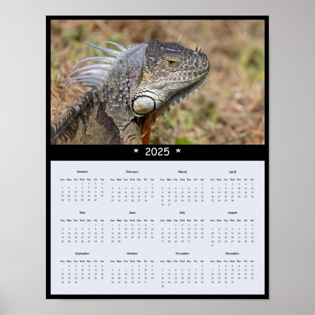 Póster poster del Calendario Pared de Iguana 2025 (Frente)