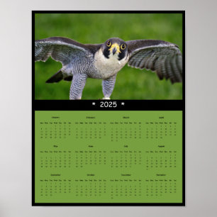 Póster poster del Calendario Peregrine Falcon 2025