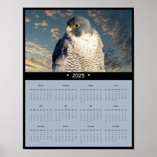 Póster poster del Calendario Peregrine Falcon 2025