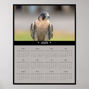 Póster poster del Calendario Peregrine Falcon 2025