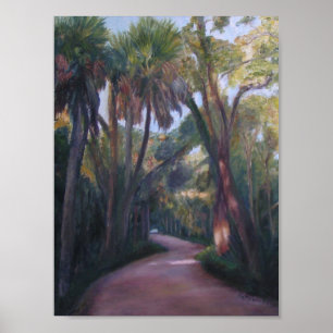 Póster Poster del CAMINO de la PLANTACIÓN de la CALA de