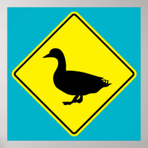 Póster Poster del camino de la travesía del pato