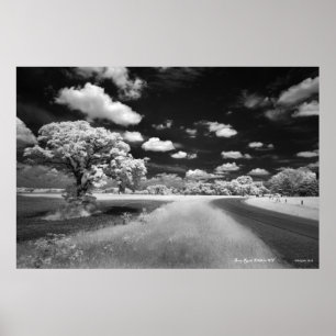 Póster Poster del camino del rebuzno