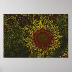 Póster Poster del campo 36 x 24 del girasol