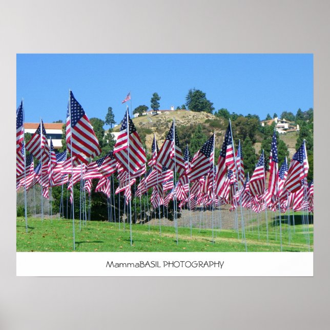 Póster ¡Poster Del Campo De Las Banderas! (Frente)