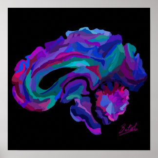 Póster Poster del cerebro de color