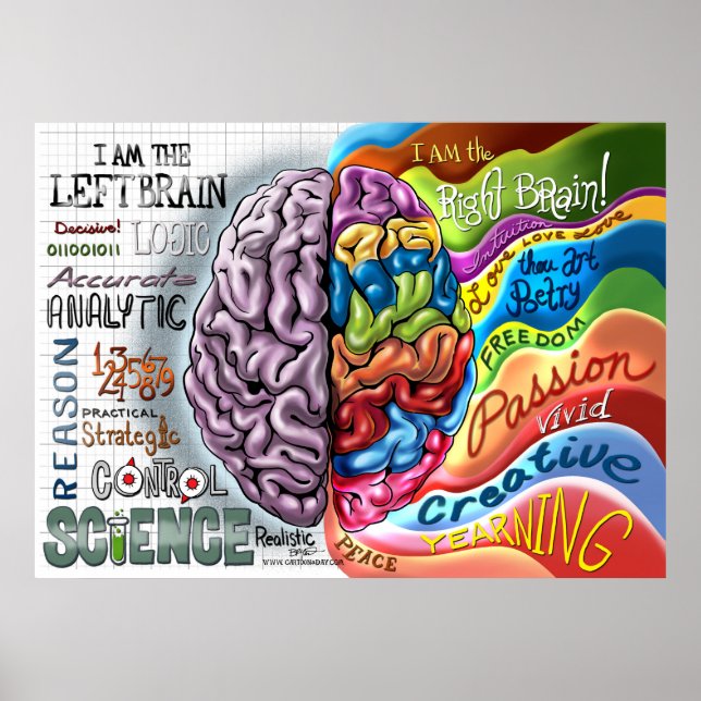 Póster Poster del cerebro izquierdo del cerebro derecho (Frente)