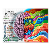 Poster del cerebro izquierdo del cerebro derecho