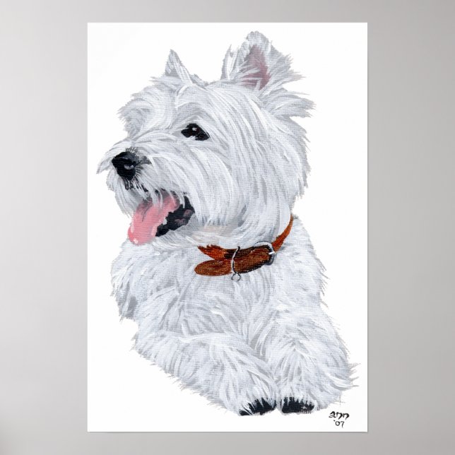 Póster Poster del chef del White Terrier de la región de  (Frente)