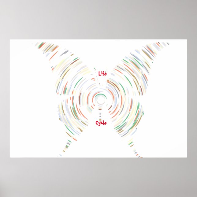 Póster Poster del ciclo de vida (Frente)