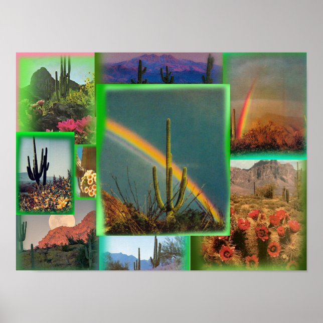Póster Poster del Collage de Cactus (Frente)