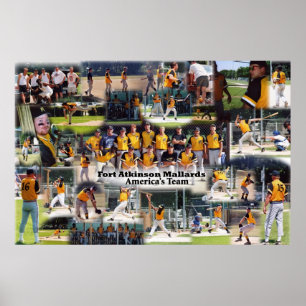 Póster Poster del collage de los patos silvestres