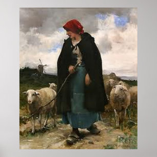 Póster Poster del collie del ~Border "del Shepherdess "