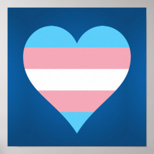 Póster Poster del corazón del orgullo transgénero