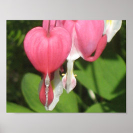 Póster Poster del corazón sangrado floral - Papel de valo