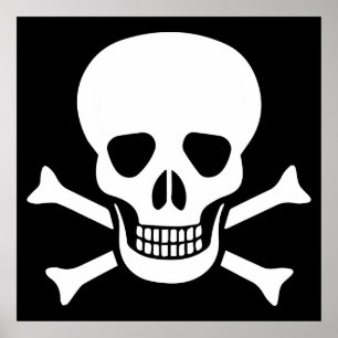 Póster Poster del cráneo humano