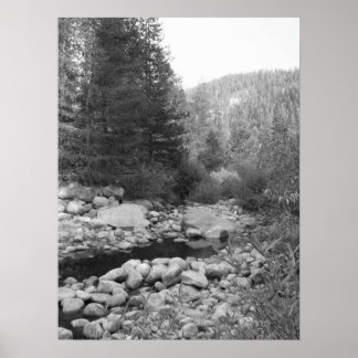 Póster Poster del Creek de la Selva Negra y Blanca