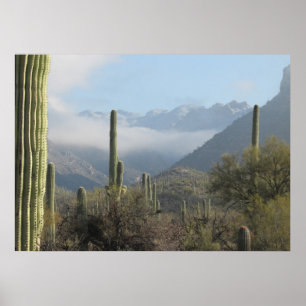 Póster Poster del desierto de Tucson