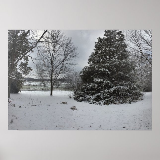 Póster Poster del Día del Invierno de Snowy Frío (Frente)