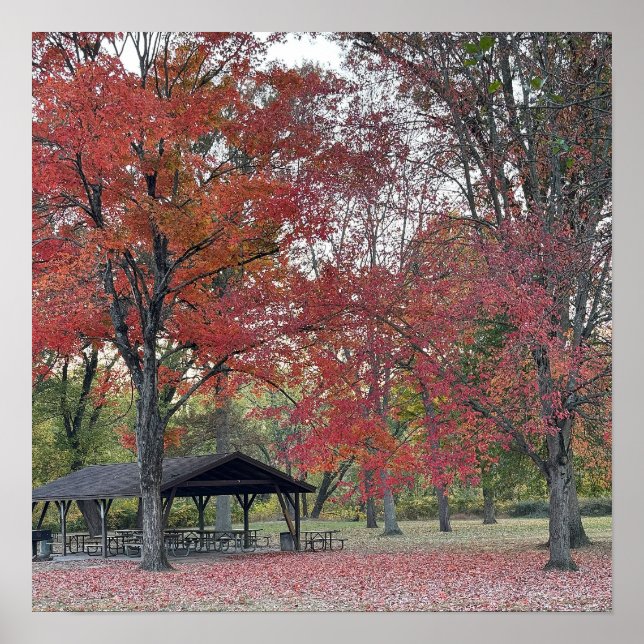 Póster Poster del Día del Parque Otoño (Frente)