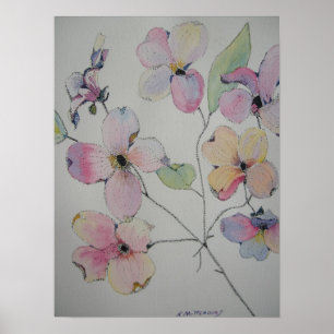 Póster Poster del Dogwood