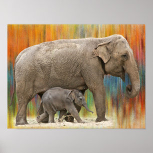 Póster Poster del elefante de la madre y del bebé