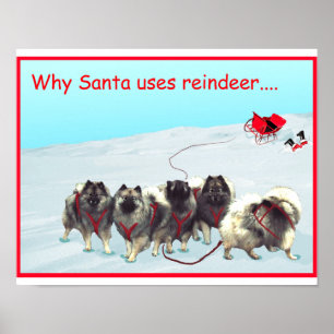 Póster Poster del equipo del trineo