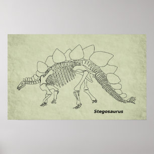 Póster Poster del esqueleto del Stegosaurus